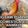 Jigsaw Puzzle Domesticated Animals
