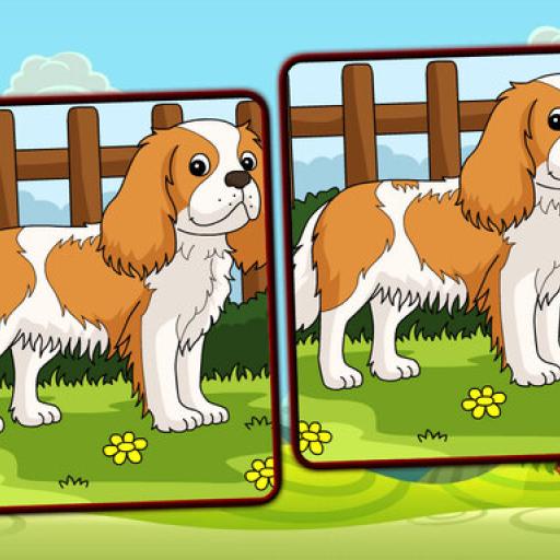 Dogs Spot The Differences