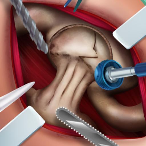 Ella Hip Surgery