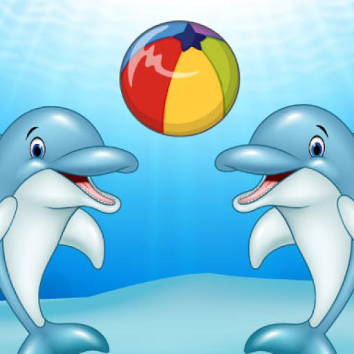 Dolphin Show
