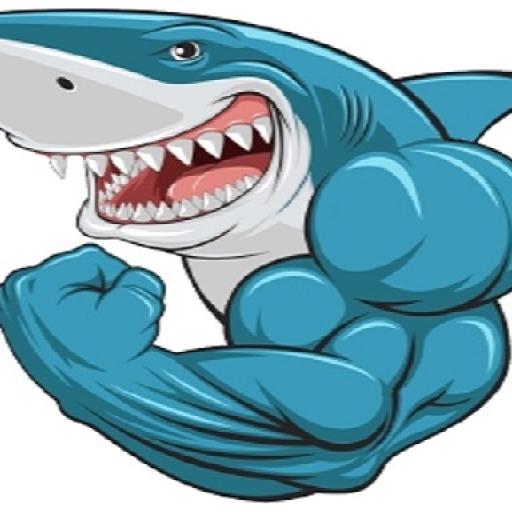 Mads Shark