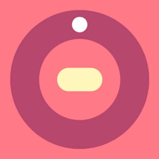Chaotic Spin