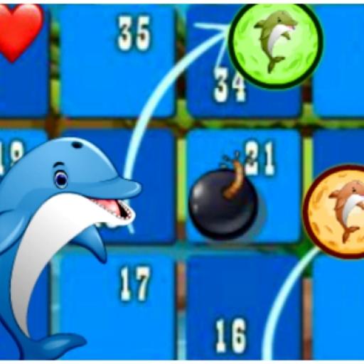 Dolphin Dice Race
