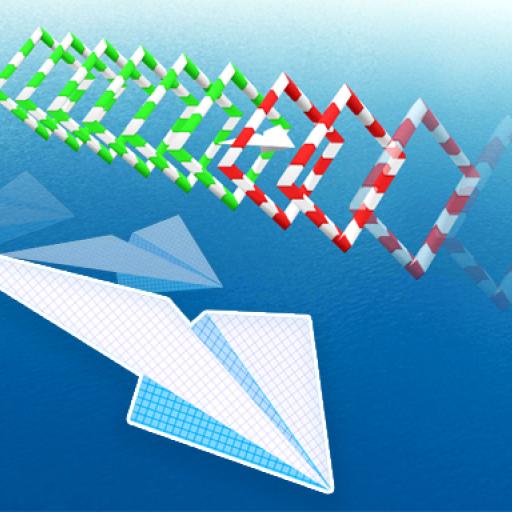 Paper Airplane