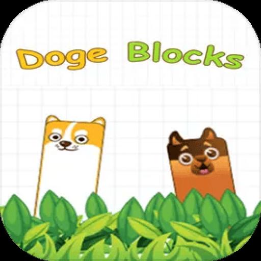 Doge Blocks