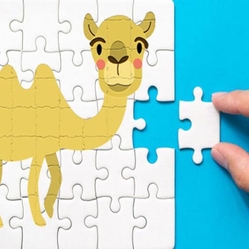 Bactrian camel Puzzle Challenge