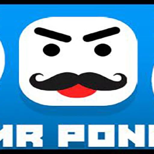 Mr Pong