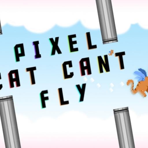 Pixel Cat Can t Fly