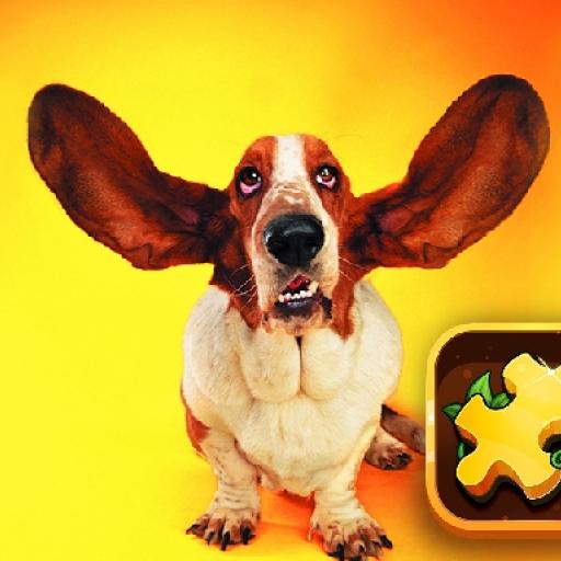 Funny Dogs Puzzle