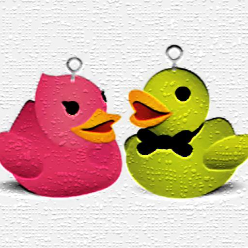 Duck Memory Challenge