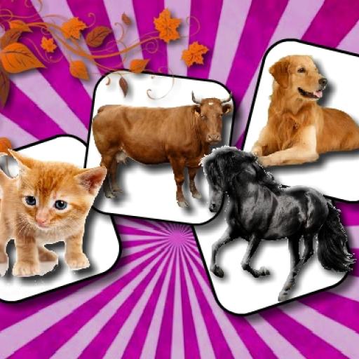 Domestic Animal Memory Challenge