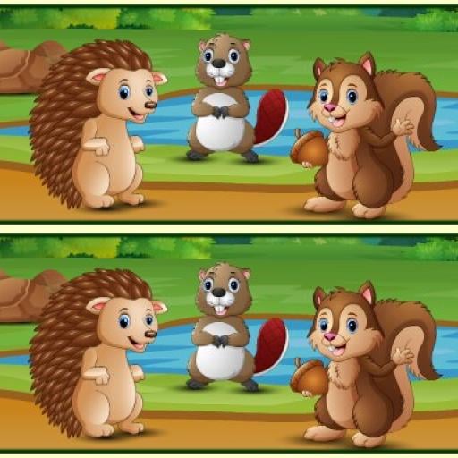 Spot The Differences Forests