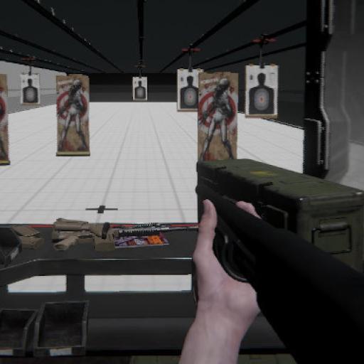 Firearm Simulator