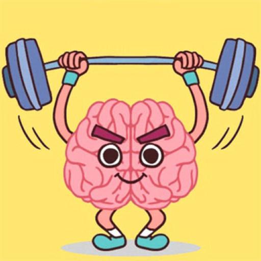 Perfect Brain 3D Puzzle