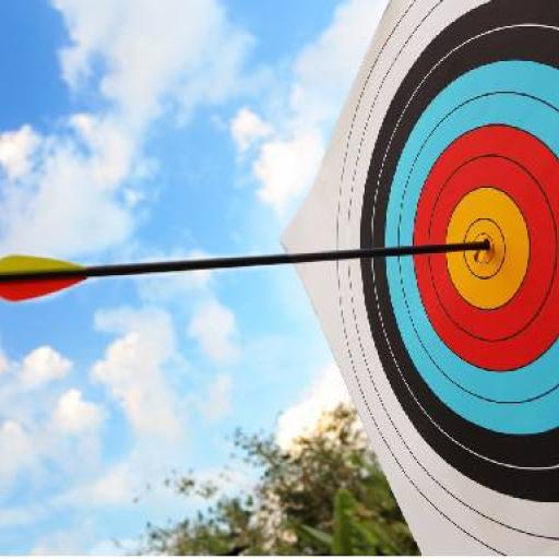 Archery: Bow & Arrow