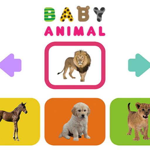 Baby Animal