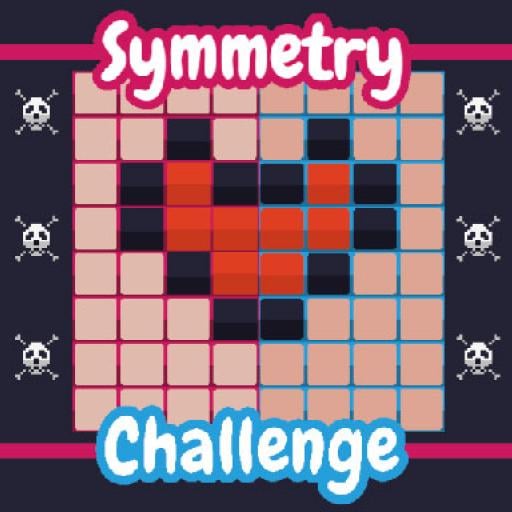Symmetry Challenge