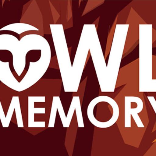 Owl Memory
