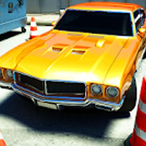Car Parking Pro-SBH