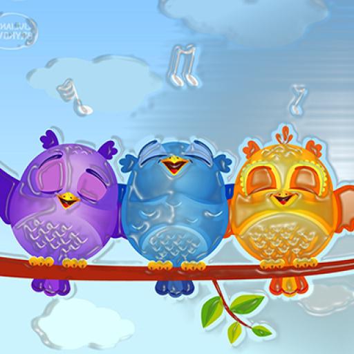 Fancy Birds Puzzle