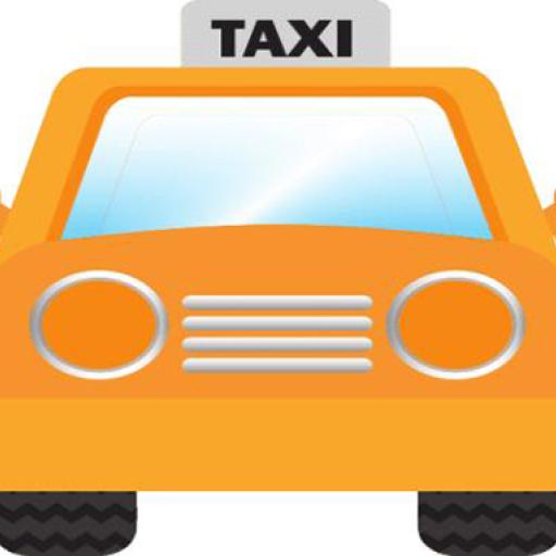Taxi simulation training