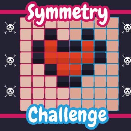 Symmetry Challege