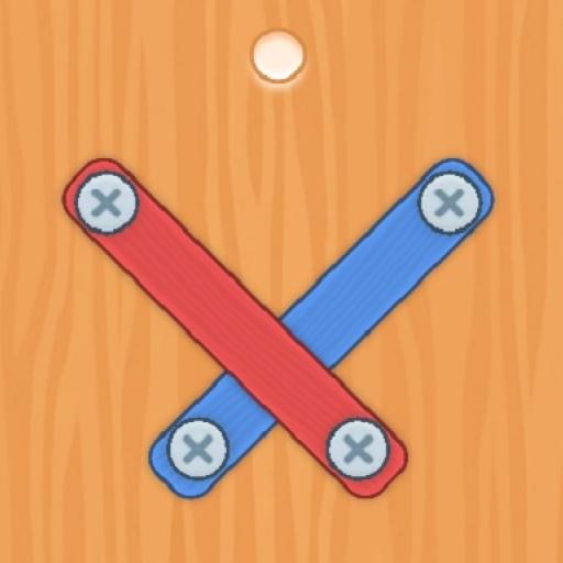 Nuts Bolts Screw Puzzle