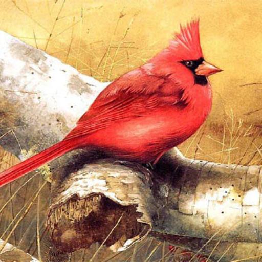 Art Birds Puzzle