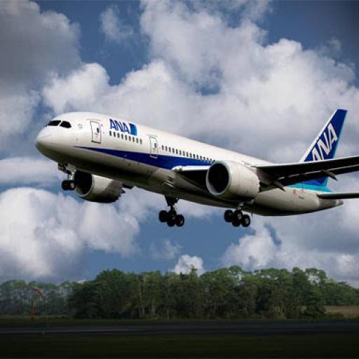 Boeing Dreamliner Puzzle