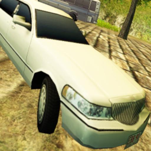 Limousine Driver
