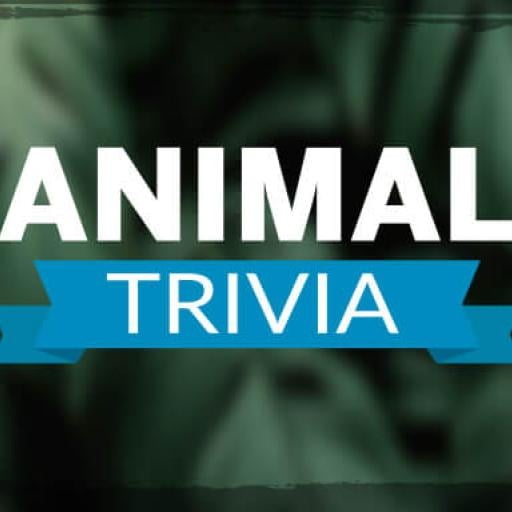 Animal Trivia