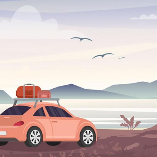 Summer Cars Memory
