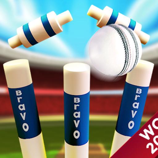 Cricket World Cup Game 2019 Mini Ground Cricke