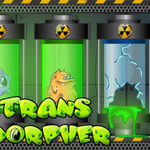 Transmorpher 1