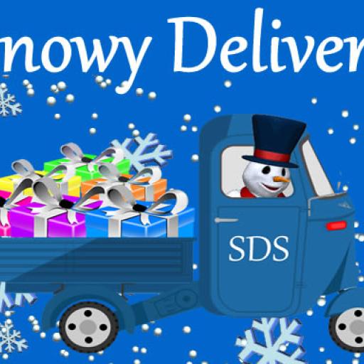 Snowy Delivery