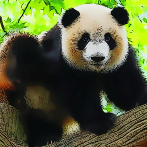 Cute Baby Panda