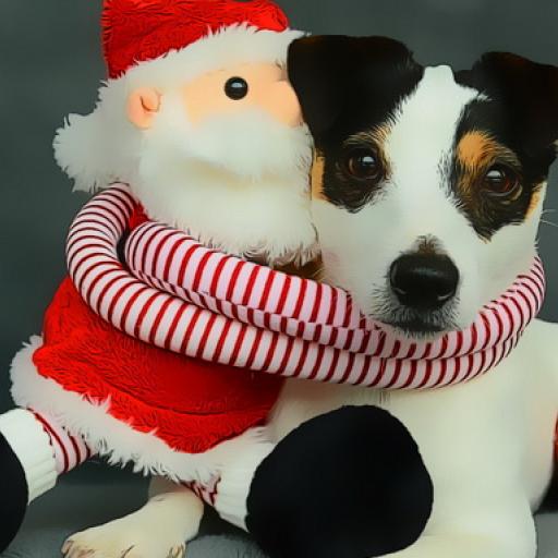 Funny Christmas Dogs