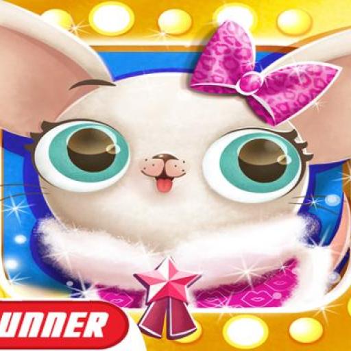 Miss Hollywood: Pet Paradise Adventure Game online