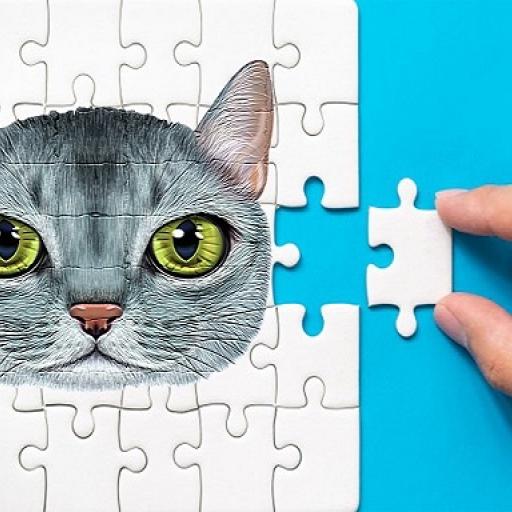 Abyssinian Puzzle Challenge