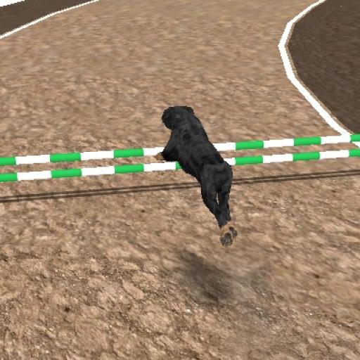 Dog Racing Simulator