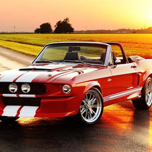 Fancy Mustang Differences