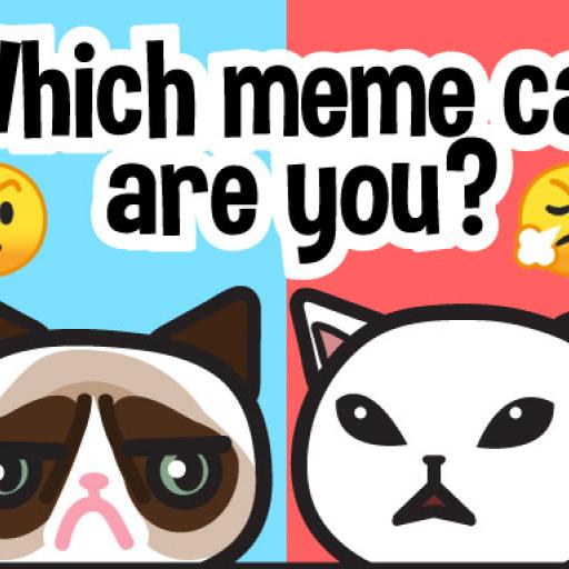Which meme cat are you?