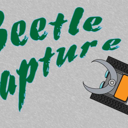 Beetle capture