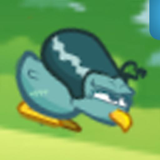 Kiwi Adventure 2