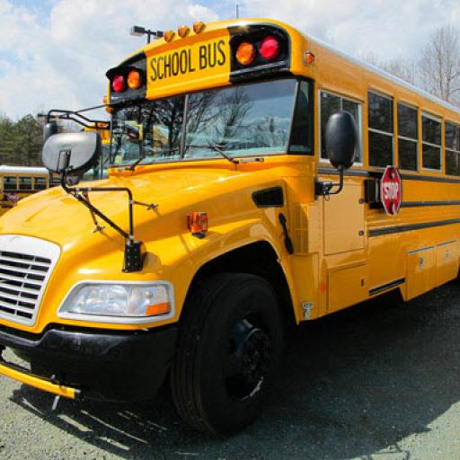 School Buses Puzzle